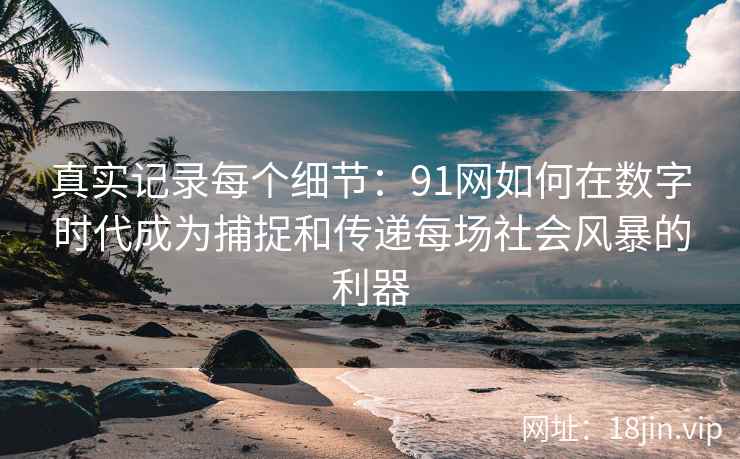 真实记录每个细节:91网如何在数字时代成为捕捉和传递每场社会风暴的利器 真实记录每个细节:91网如何在数字时代成为捕捉和传递每场社会风暴的利器